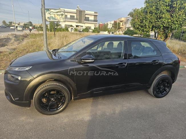 C4 cactus a vendre