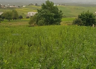 Terrain titré à vendre