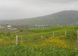 أرض محفظة للبيع