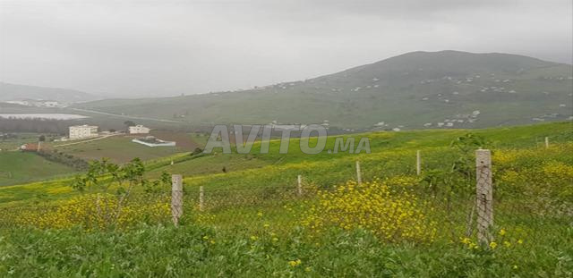 أرض محفظة للبيع