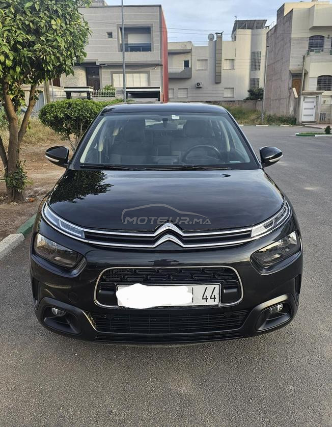 C4 cactus a vendre