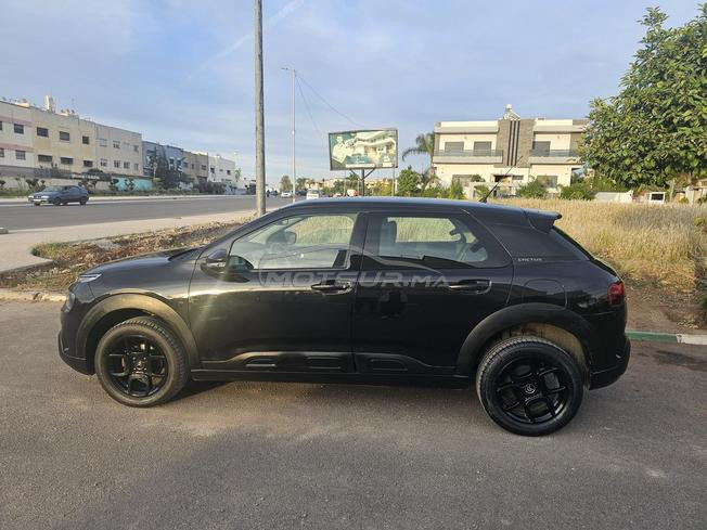 C4 cactus a vendre