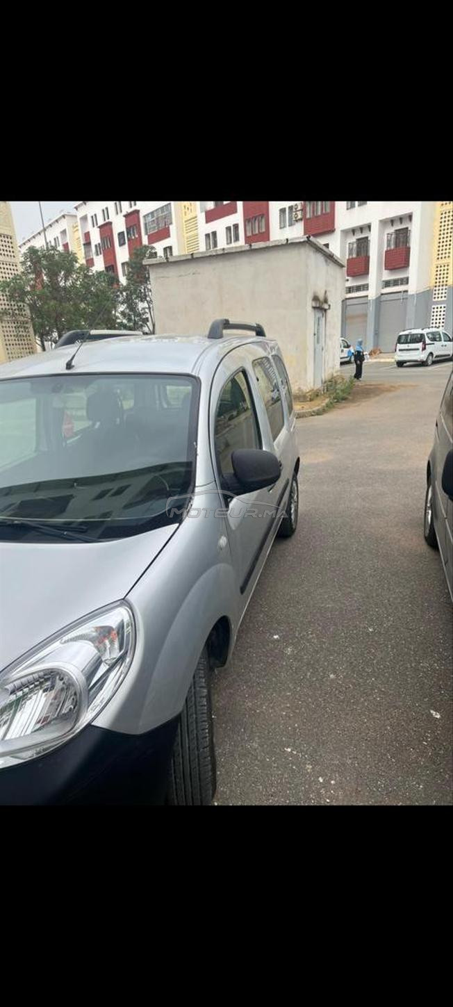 kangoo