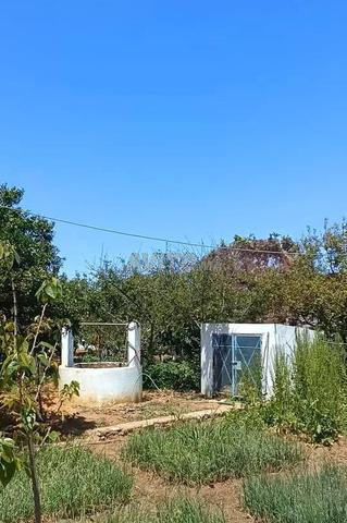 خميس الساحل تطل على البحر قريب لشارع 500متر - 2