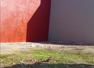 Spot à vendre Ksar Kbir 