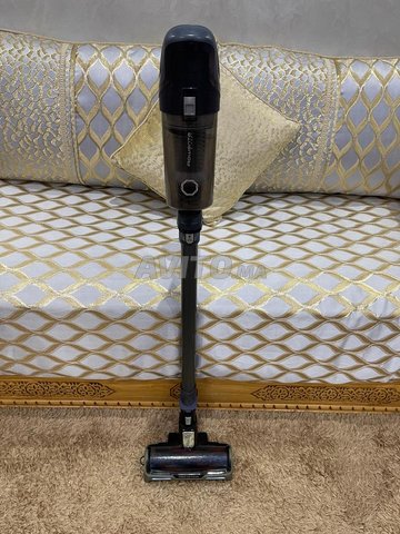 Aspirateur balai Rowenta fil Rechargeable 