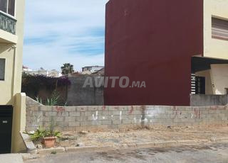 Terin mandarona blv gods 