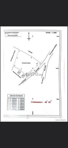 terrain Melkia à Tizguine (Province Al Haouz) - 2