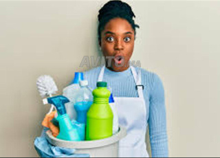 NOUNOUS MÉNAGE REPASSAGE