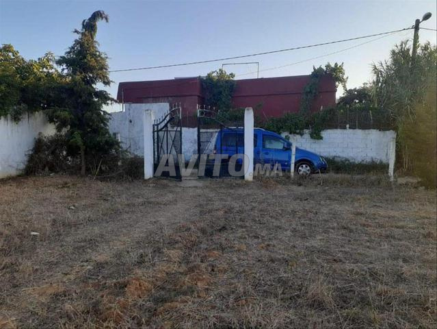 Terrain titré à vendre à Had Gharbia - 2