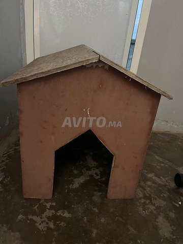 maison pour chien ou chat en bois 