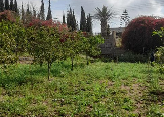 Grande ferme ain aouda Prix négociable