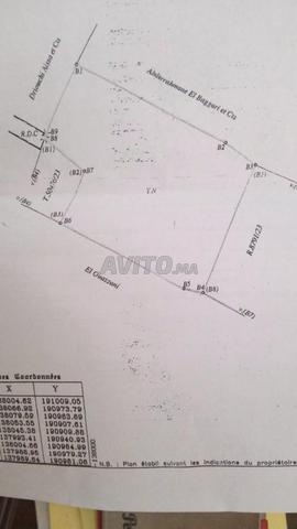 ارض مسا حتها 5000م للبيع المرجو الاتصال بي.