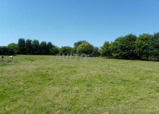 Terrain à vendre près de Benslimane