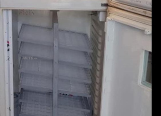 فقاسة البيض