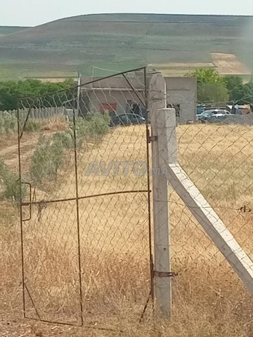 Terrain agricole titré à vendre