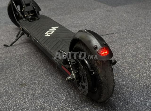 trotinette lion urban sport