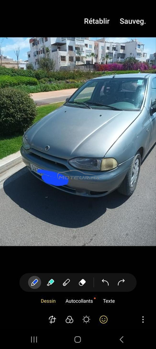 palio