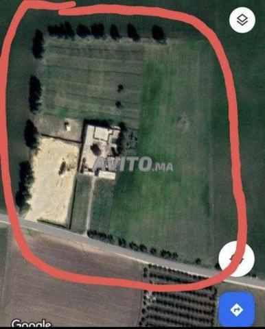 Ferme équipée, titrée à vendre Meknes