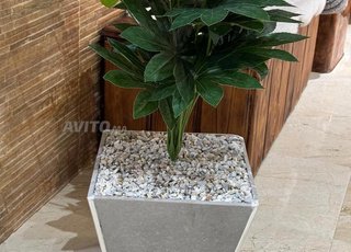 vase en céramique avec plantes 