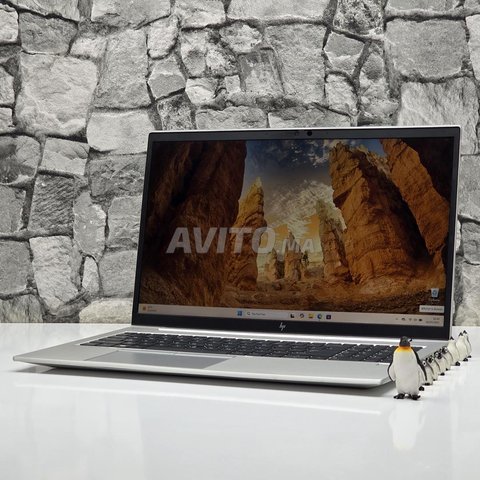 HP EliteBook 855 G7 / Ryzen 7 4750U