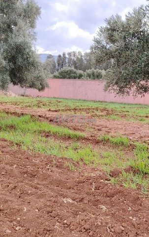 Terrain agricole 2000m² à Ourika vue montagne