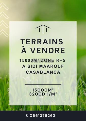 À VENDRE – Terrain de 15 000 m² à Sidi Maarouf 
