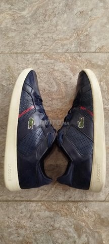 Lacoste nmra 43