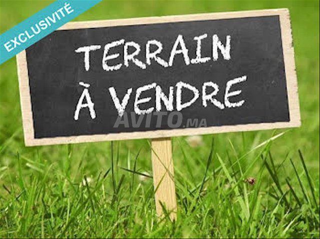 Terrain Agricole 23ha Région Berrechid