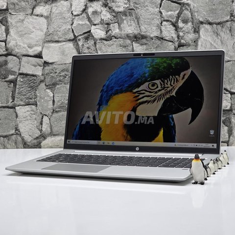 HP ProBook 455 G10 / Ryzen 7 7730U