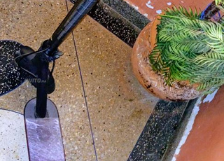 trotinette xiaomi Pro2 