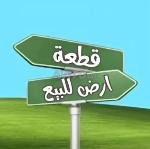 قطعة أرضية محفظة للبيع بأشقار 24600 متر