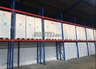 بلا مخاطر التخزين العشوائي