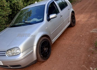 غولف 4 نقية للبيع