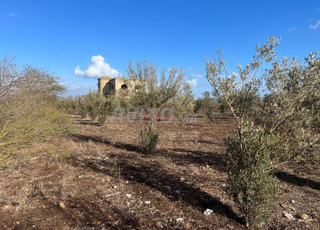 Vente Terrain agricole de 32000 m2 à Mediouna