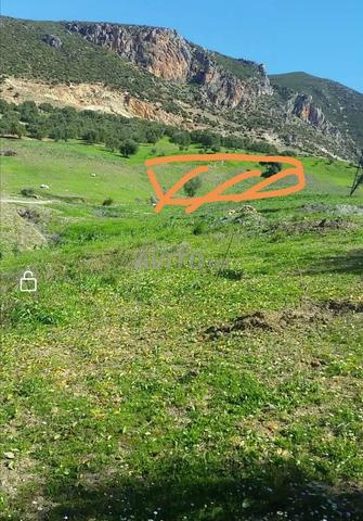 TERRAIN TITRE A BENQARICH TETOUAN - 2