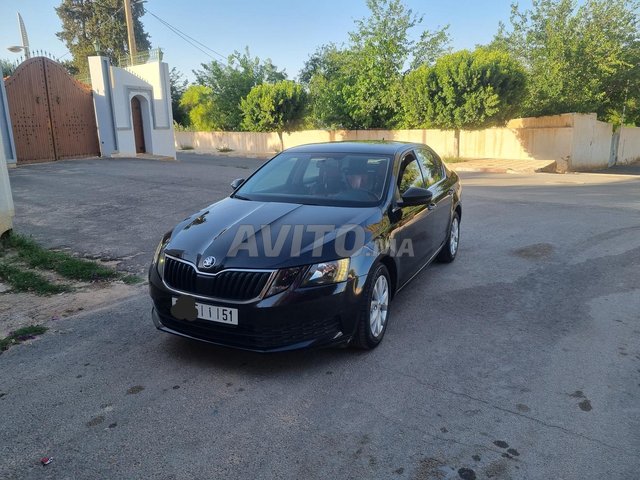 skoda  octavia