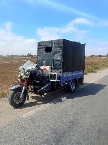 top moto mlih Kolchi regel