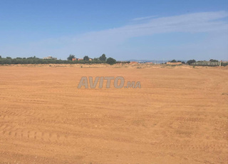 1 HECTARE A ANGAD DOUBA 