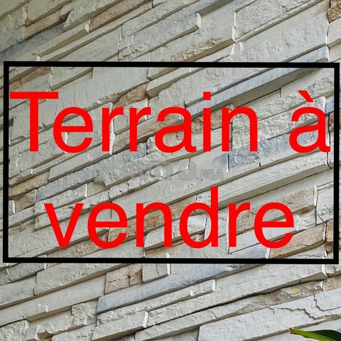 Terrain à vendre - 400 m2- Casablanca