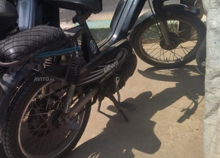 moto libiro