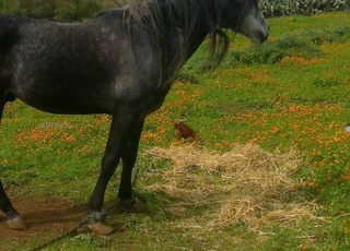 Un joli TERRAIN  a 10klm d aquatique 