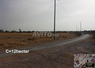 24 hectares agricole medyouna 