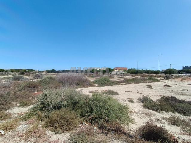 Terrain à vendre Alhoceima Souani 3min la plage - 2