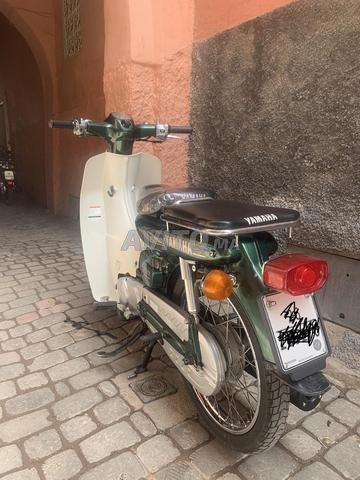 trwa 07 baka n9iya  b blaka dyalha 