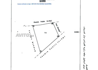 TERRAIN AGRICOLE A VENDRE 