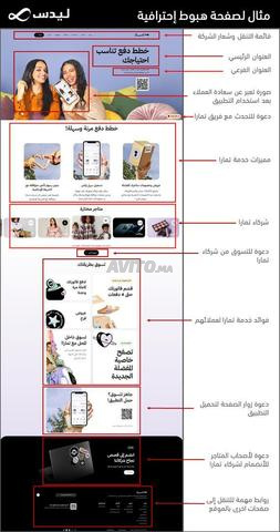 Page d’atterrissage professionnelle 