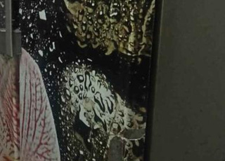 frigo bard mlih marka ispania 