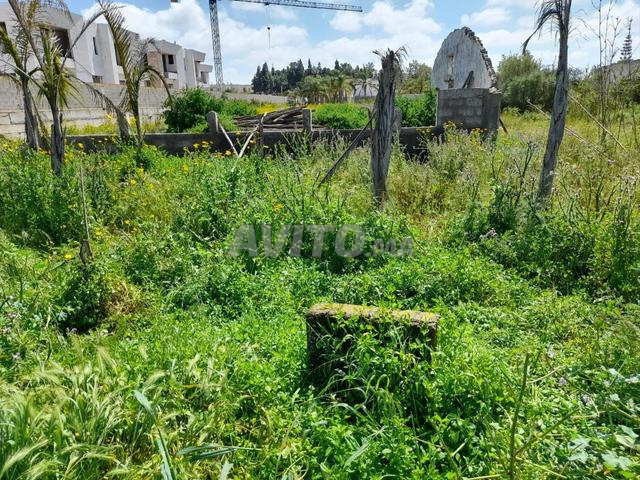 Terrain titré à vendre 6000 m² autorisé 5 villas - 2