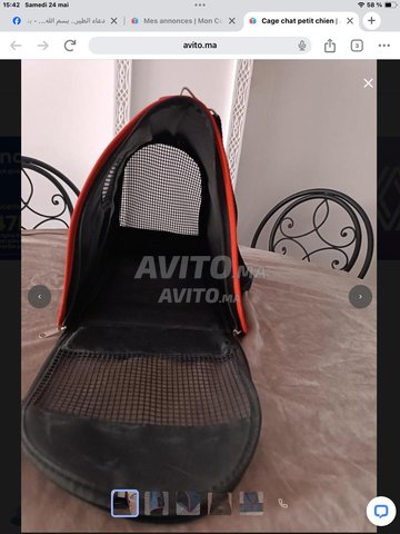 Cage chat petit chien